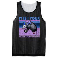 It Is I Your Fairy Godpossum Retro Opossum Lover Mesh Reversible Basketball Jersey Tank