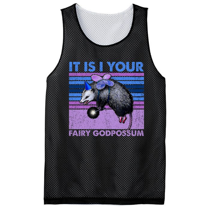 It Is I Your Fairy Godpossum Retro Opossum Lover Mesh Reversible Basketball Jersey Tank