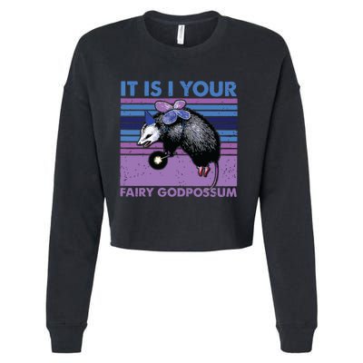 It Is I Your Fairy Godpossum Retro Opossum Lover Cropped Pullover Crew