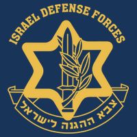 Idf Israel Israeli Defense Forces Zahal Toddler T-Shirt
