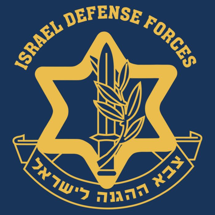 Idf Israel Israeli Defense Forces Zahal Toddler T-Shirt