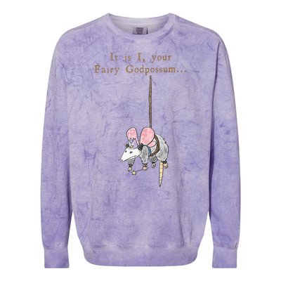 It Is I Your Fairy Godpossum Colorblast Crewneck Sweatshirt