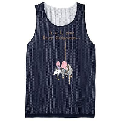 It Is I Your Fairy Godpossum Mesh Reversible Basketball Jersey Tank