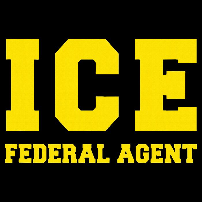 Ice Immigration Poster