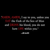 If It Is Just A Symbol To Hell With F.OConnor Amen Amen I Say To You Tall T-Shirt