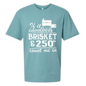 If It Involves Brisket And 250 Degrees Count Me In Meat Smoker Cool Gift Sueded Cloud Jersey T-Shirt