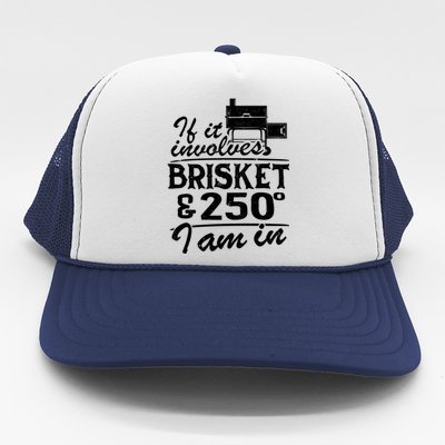 If It Involves Brisket And 250 Degrees I Am In Bbq Meat Smoker Gift Trucker Hat