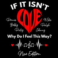 If It Isn't Love Ronnie Bobby Ricky Mike Ralph And Johnny 16 in Basic Backpack