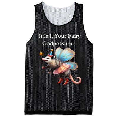 It Is I Your Fairy Godpossum Mesh Reversible Basketball Jersey Tank