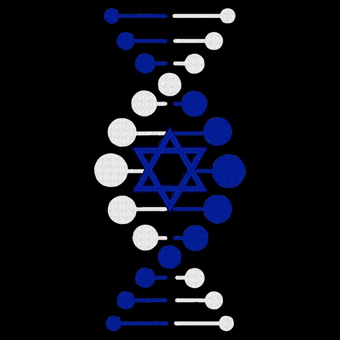 Israel, It's In My DNA Star of David Am Yisrael Chai Performance Shirt