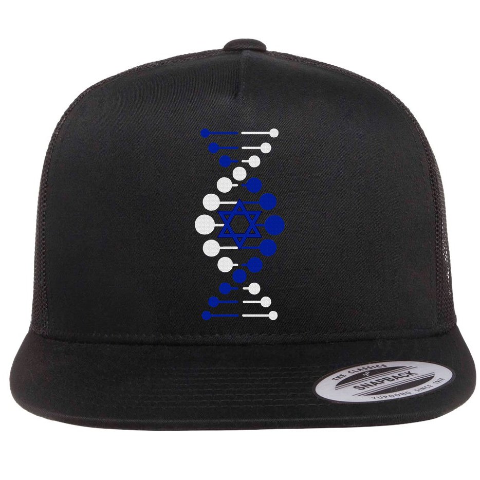 Israel, It's In My DNA Star of David Am Yisrael Chai Flat Bill Trucker Hat