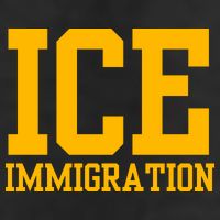 Ice Immigration Adult Drive Performance Visor