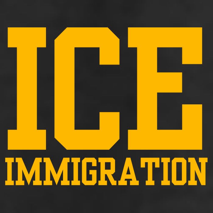 Ice Immigration Adult Drive Performance Visor