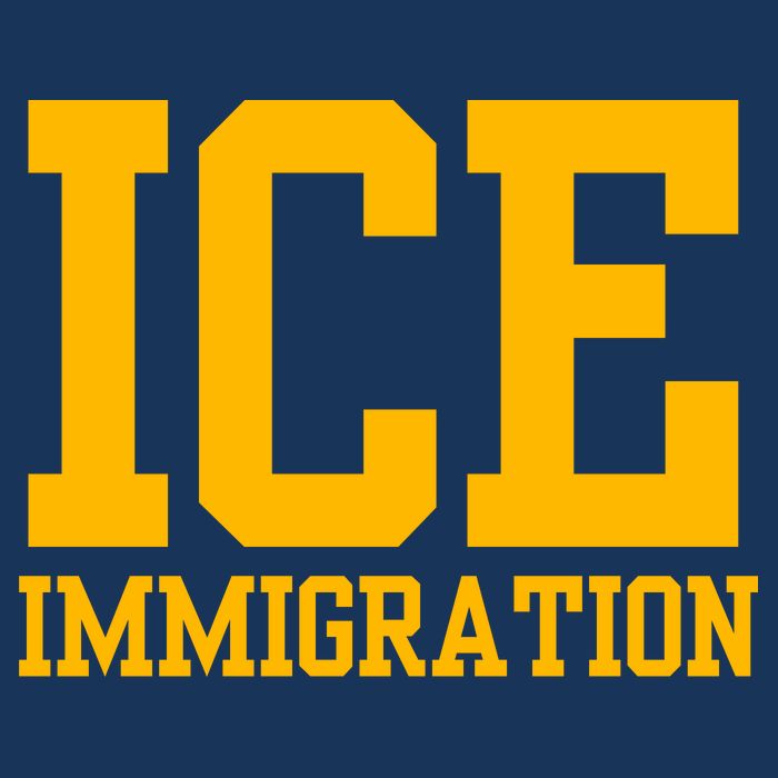 Ice Immigration Poster