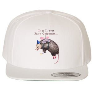 It Is I Your Fairy Godpossum Wool Snapback Cap