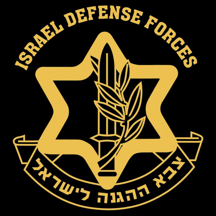 IDF Israel Israeli Defense Forces Zahal Performance Shirt