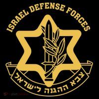 IDF Israel Israeli Defense Forces Zahal Tall T-Shirt