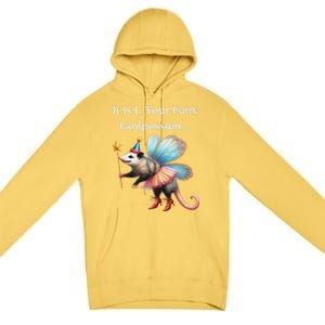 It Is I Your Fairy Godpossum Premium Pullover Hoodie