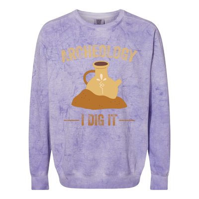 I Idg It Archeology Colorblast Crewneck Sweatshirt