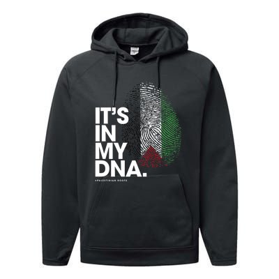 Its In My Dna Palestine Flag Palestinian Roots Performance Fleece Hoodie