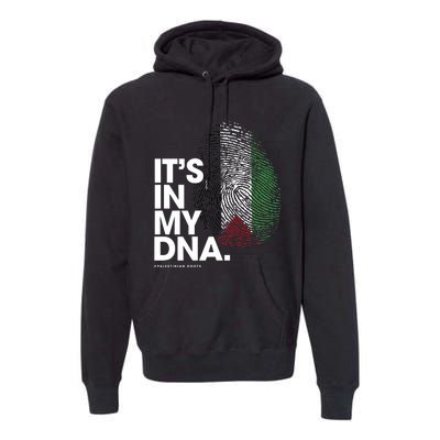 Its In My Dna Palestine Flag Palestinian Roots Premium Hoodie