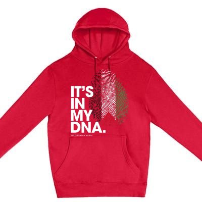 Its In My Dna Palestine Flag Palestinian Roots Premium Pullover Hoodie