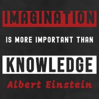 Imagination Is More Important Than Knowledge Albert Einstein Quote Funny Quote Beanie