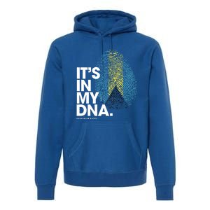 Its In My Dna Bahamas Flag Gift Bahamian Roots Gift Premium Hoodie