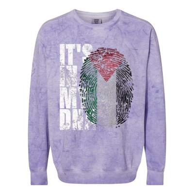 It In My Dna Palestinian Arabic Gifts Palestine Flag Colorblast Crewneck Sweatshirt