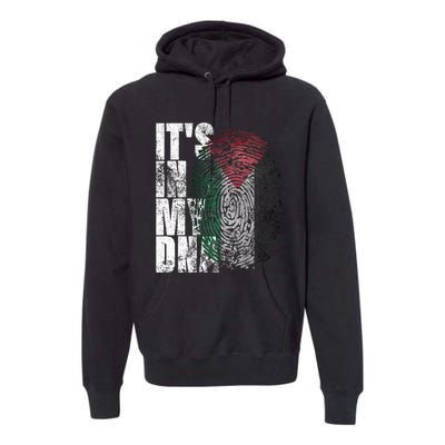 It In My Dna Palestinian Arabic Gifts Palestine Flag Premium Hoodie