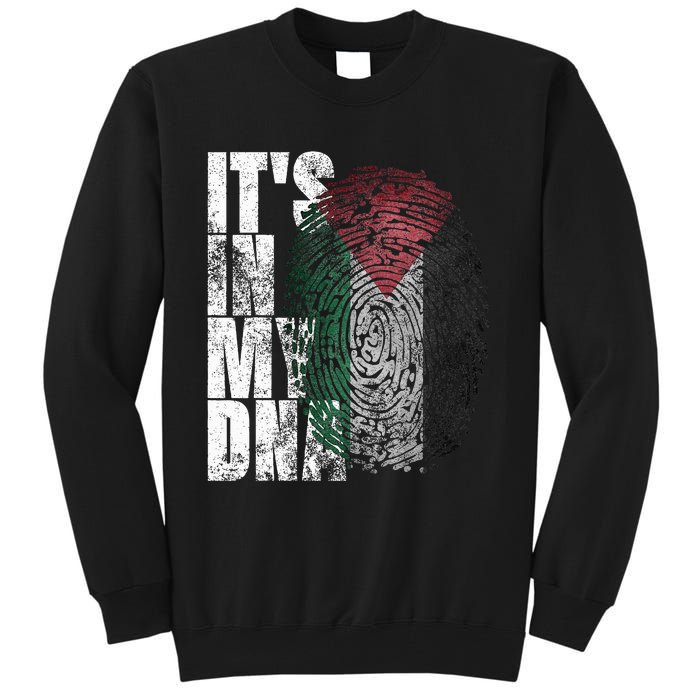 It In My Dna Palestinian Arabic Gifts Palestine Flag Tall Sweatshirt