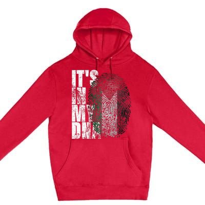 It In My Dna Palestinian Arabic Gifts Palestine Flag Premium Pullover Hoodie