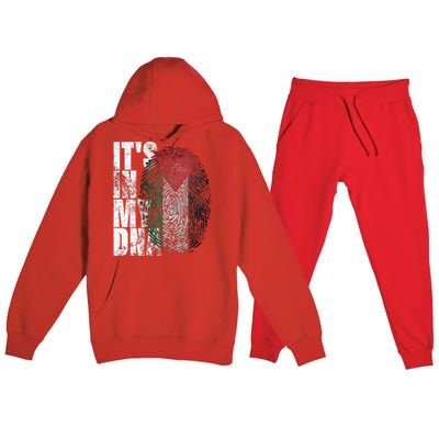 It In My Dna Palestinian Arabic Gifts Palestine Flag Premium Hooded Sweatsuit Set