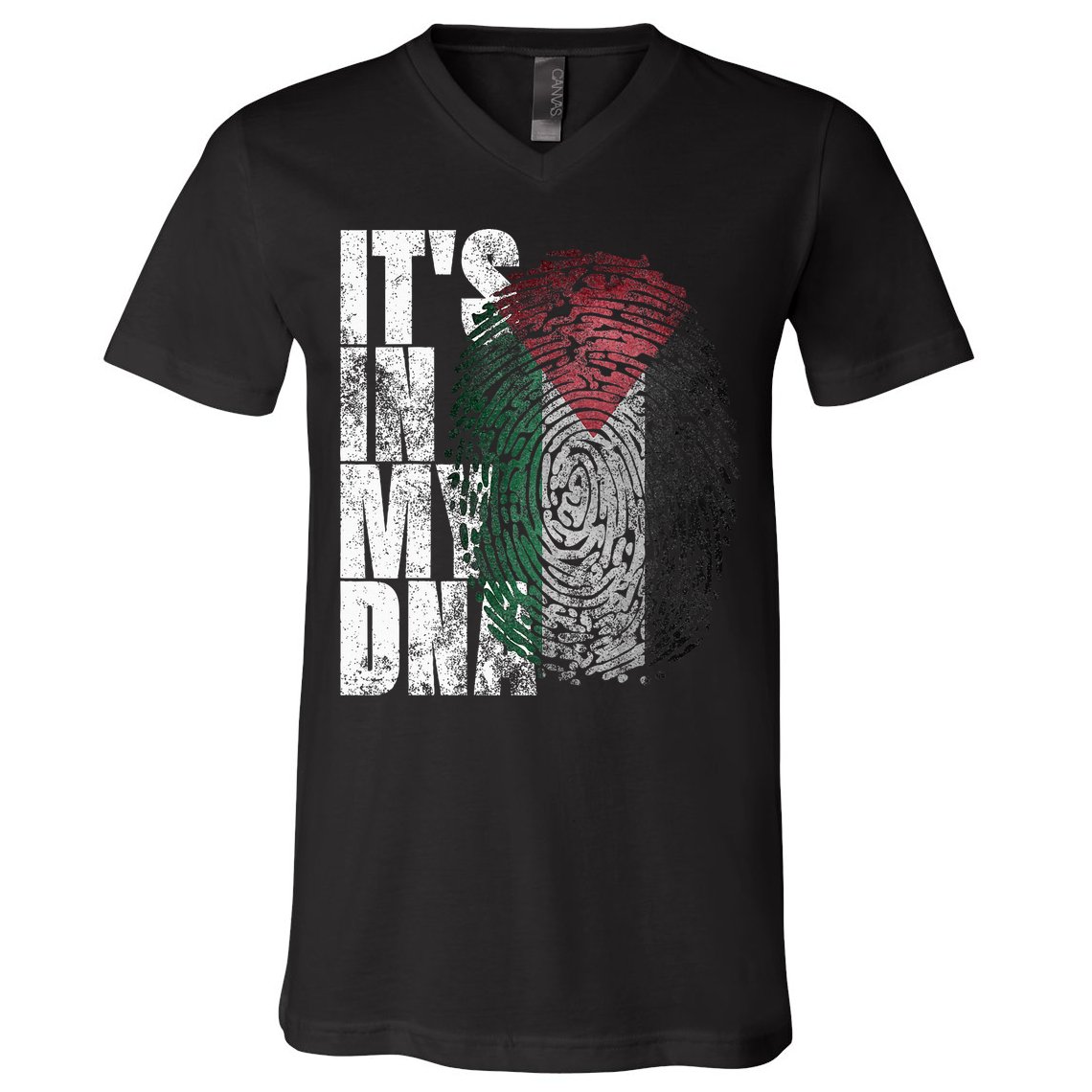 It's In My DNA Palestinian Arabic Gifts Palestine Flag V-Neck T-Shirt