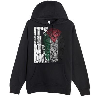 It's In My DNA Palestinian Arabic Gifts Palestine Flag Premium Pullover Hoodie
