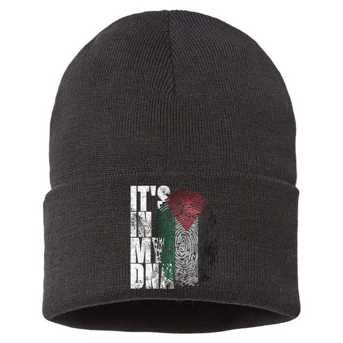 It's In My DNA Palestinian Arabic Gifts Palestine Flag Sustainable Knit Beanie