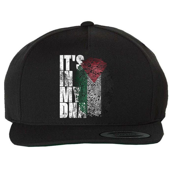 It's In My DNA Palestinian Arabic Gifts Palestine Flag Wool Snapback Cap