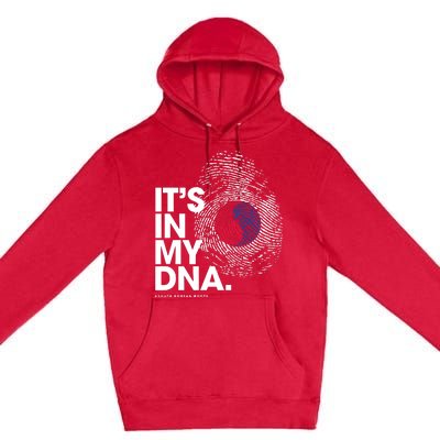 ITS IN MY DNA South Korea Flag Shirts South Korean Roots Premium Pullover Hoodie