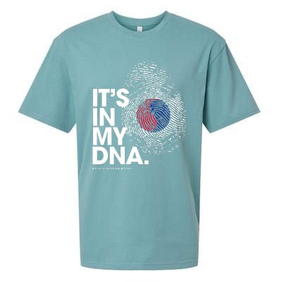 ITS IN MY DNA South Korea Flag Shirts South Korean Roots Sueded Cloud Jersey T-Shirt