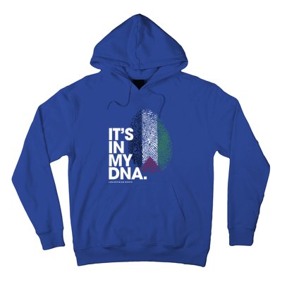 ItS In My Dna Palestine Flag Cool Gift Palestinian Roots Gift Hoodie