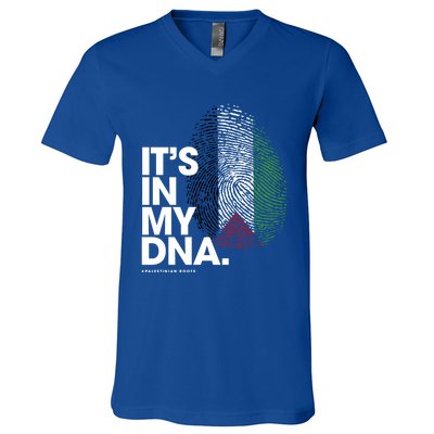 ItS In My Dna Palestine Flag Cool Gift Palestinian Roots Gift V-Neck T-Shirt