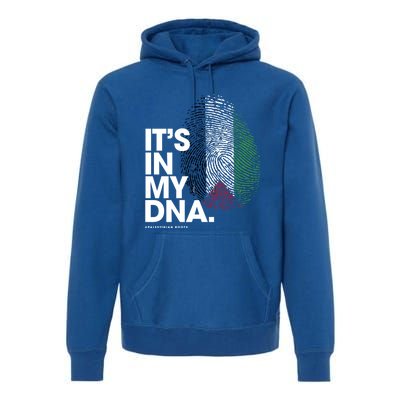 ItS In My Dna Palestine Flag Cool Gift Palestinian Roots Gift Premium Hoodie