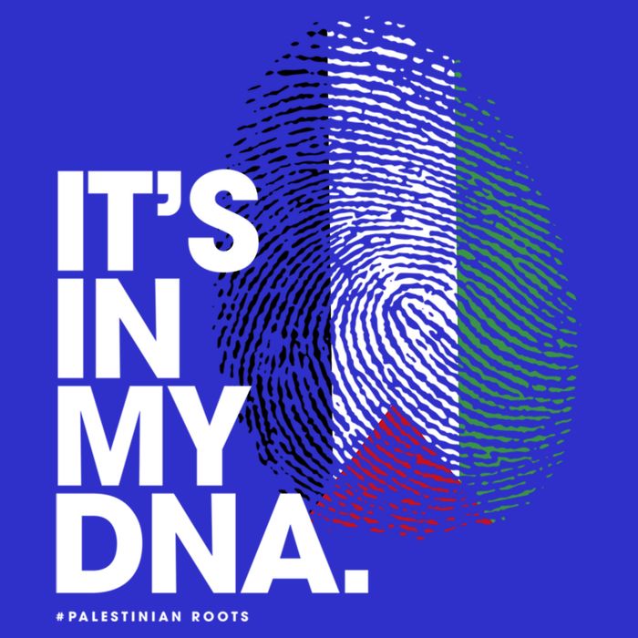 ItS In My Dna Palestine Flag Cool Gift Palestinian Roots Gift Premium T-Shirt