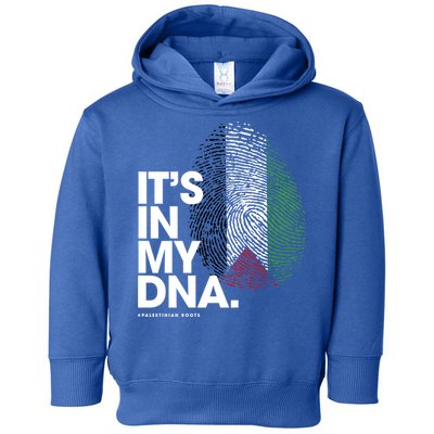 ItS In My Dna Palestine Flag Cool Gift Palestinian Roots Gift Toddler Hoodie
