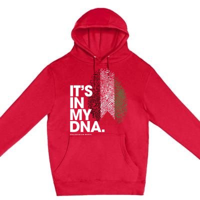 ItS In My Dna Palestine Flag Cool Gift Palestinian Roots Gift Premium Pullover Hoodie