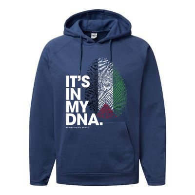 ItS In My Dna Palestine Flag Cool Gift Palestinian Roots Gift Performance Fleece Hoodie