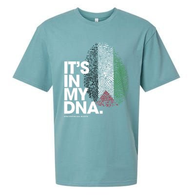 ItS In My Dna Palestine Flag Cool Gift Palestinian Roots Gift Sueded Cloud Jersey T-Shirt