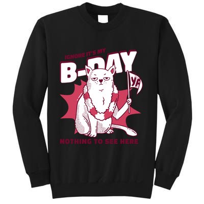 Ignore It's My Birthday Nothing To See Here Cat Sweatshirt