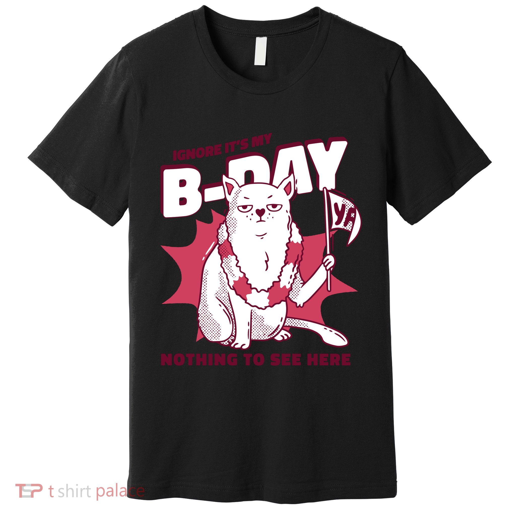 Ignore It's My Birthday Nothing To See Here Cat Premium T-Shirt