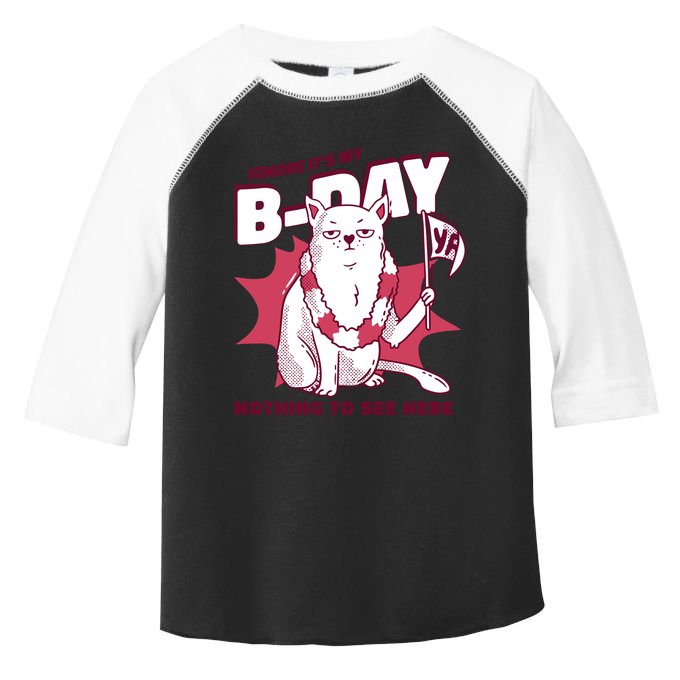 Ignore It's My Birthday Nothing To See Here Cat Toddler Fine Jersey T-Shirt